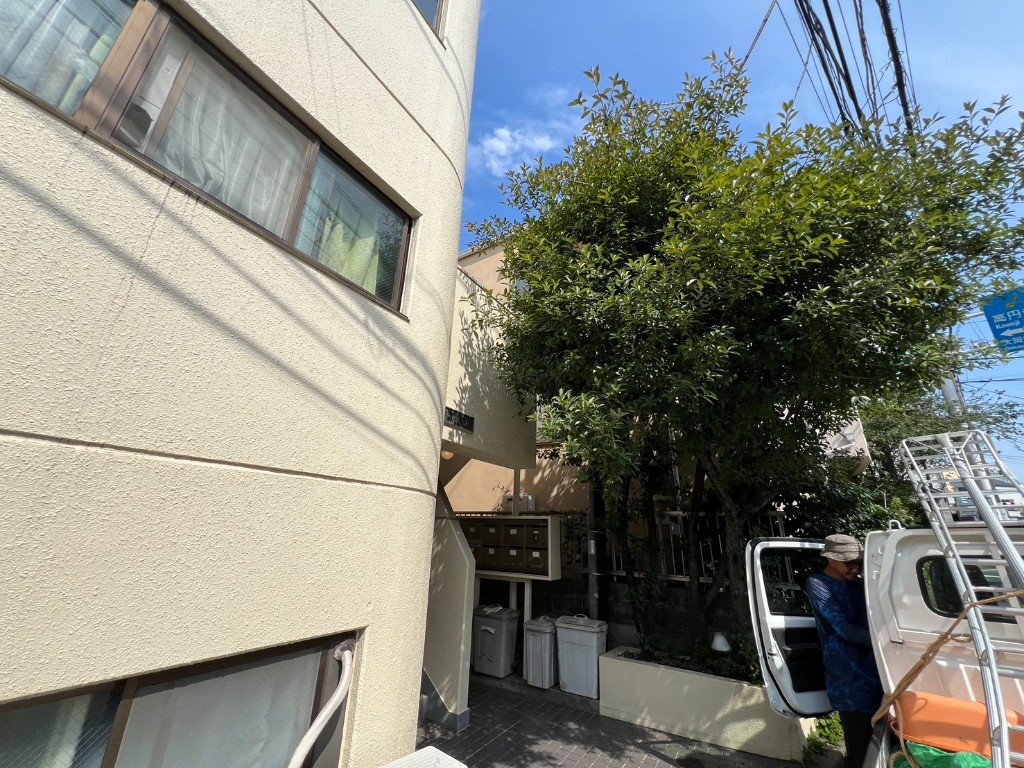 【大田区北千束】電線にかかった高木の伐採の施工前